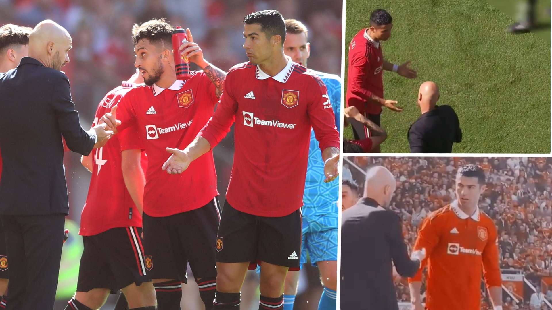 引入更专业 引入更专业